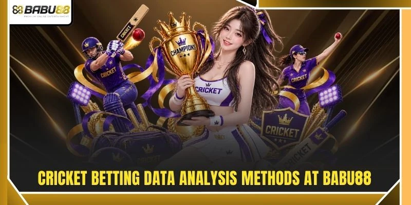 Cricket betting data analysis methods at BABU88