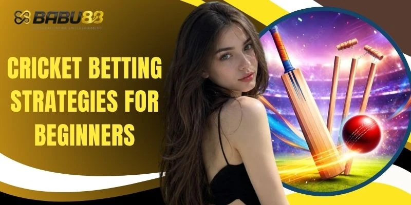 Cricket Betting Strategies For Beginners - 4 Basic Bet Types
